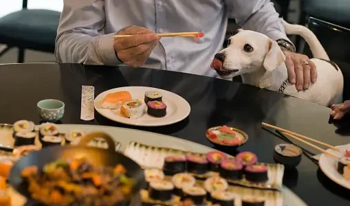 Can Dogs Eat Sushi