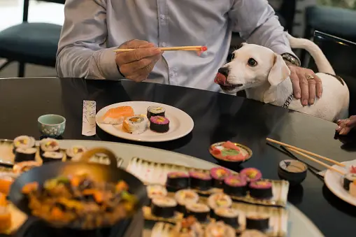 Can Dogs Eat Sushi