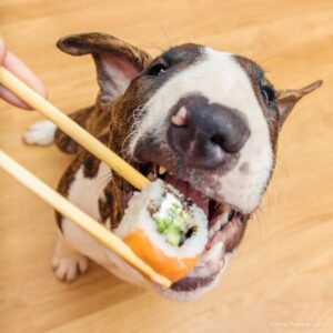 Can Dogs Eat Sushi