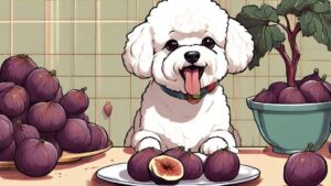 can dogs eat figs