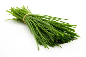 Can Dogs Eat Chives