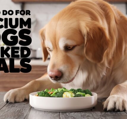 What To Do For Calcium Dogs Cooked Meals