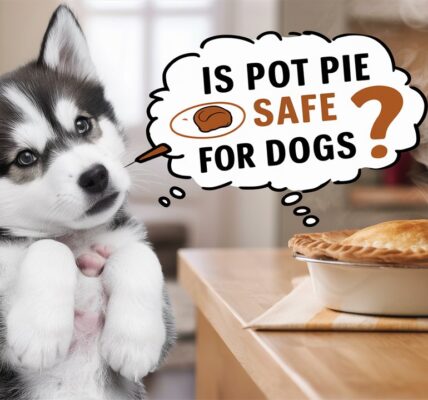 Is Pot Pie Safe for Dogs?