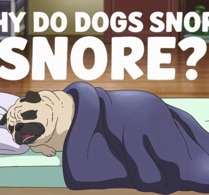 Why Do Dogs Snore