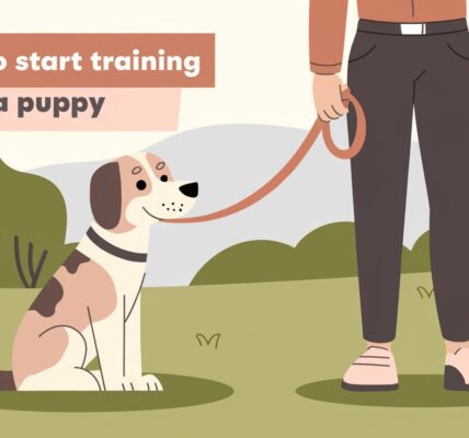 When to Start Training a Puppy