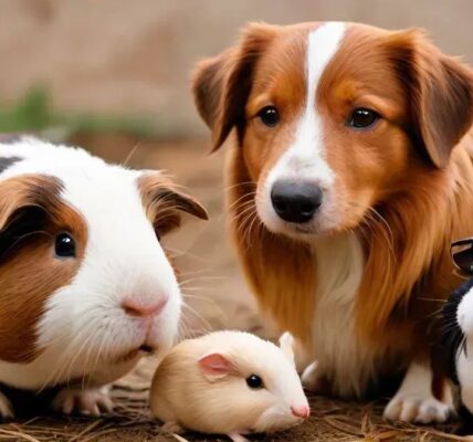 Can A Dog Kill A Guinea Pig