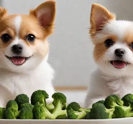 Can Dogs Eat Broccoli