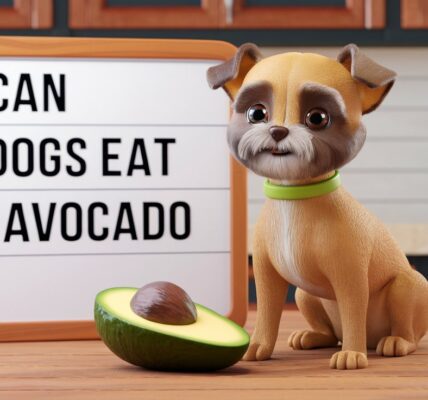 Can Dogs Eat Avocado