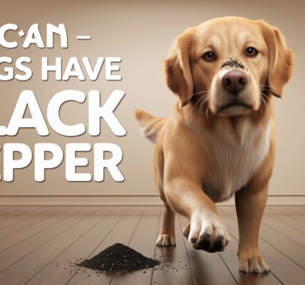 Can Dogs Have Black Pepper