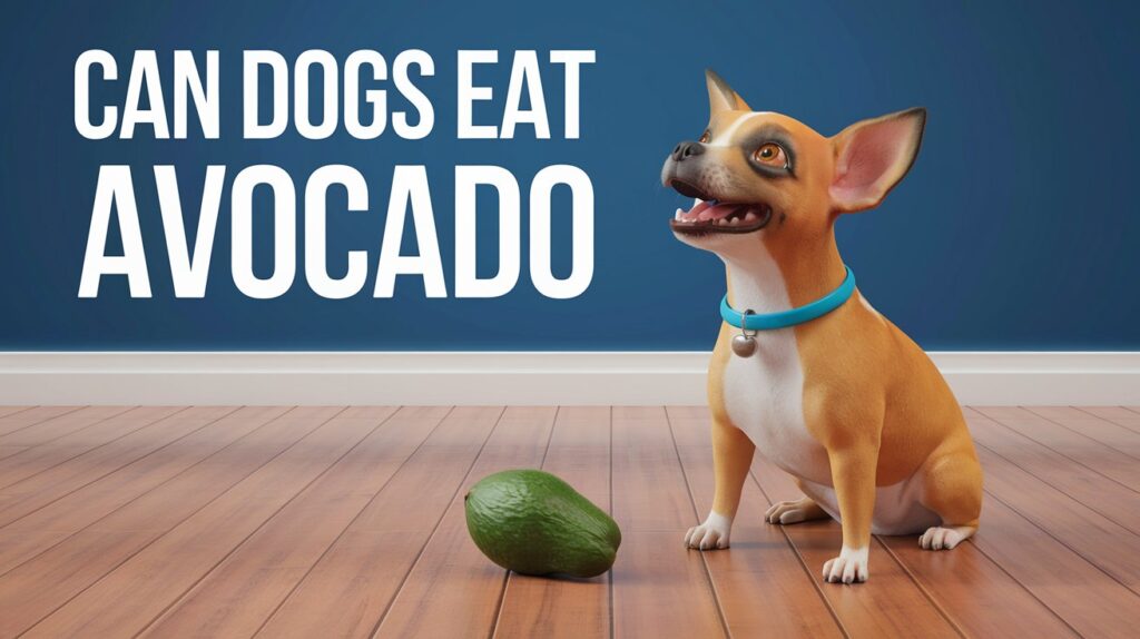 Can Dogs Eat Avocado