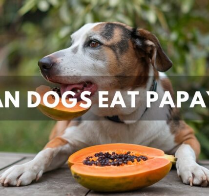 Can Dogs Eat Papaya