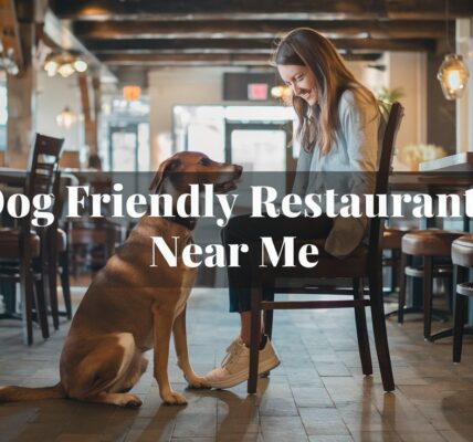 Dog Friendly Restaurants Near Me