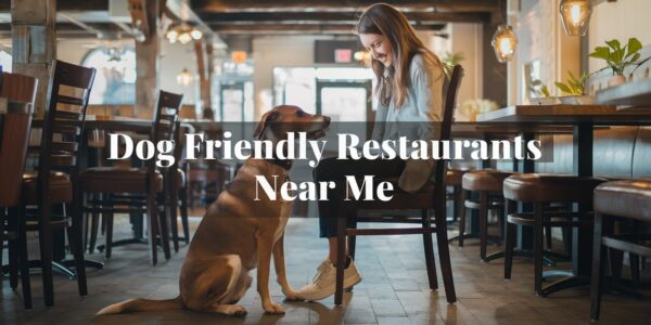 Dog Friendly Restaurants Near Me