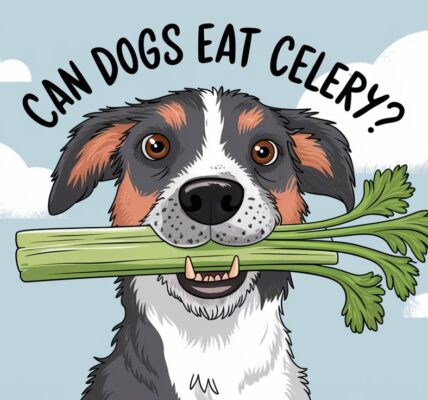 Can Dogs Eat Celery?