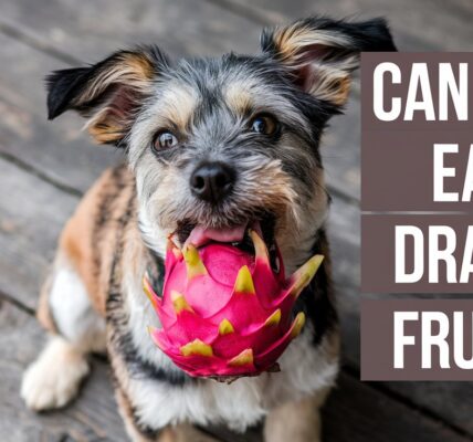 Can Dogs Eat Dragon Fruit