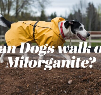 Can Dogs Walk on Milorganite