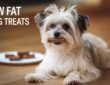 Low Fat Dog Treats