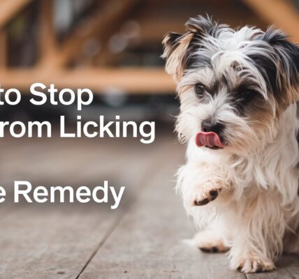 How To Stop Dog From Licking Paws Home Remedy 