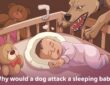 Why Would a Dog Attack a Sleeping Baby