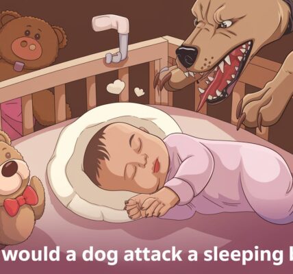 Why Would a Dog Attack a Sleeping Baby