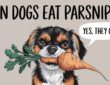 Can Dogs Eat Parsnips